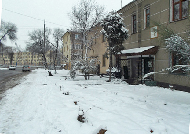 Вырубленные под корень деревья обозначали границу земельного участка перед домом Вырубленные под корень деревья обозначали границу земельного участка перед домом